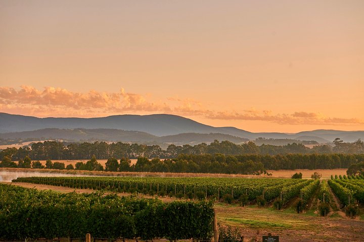 Yarra Valley Master Classes & 3 Course Champagne Lunch - Up to 6 - Image 1