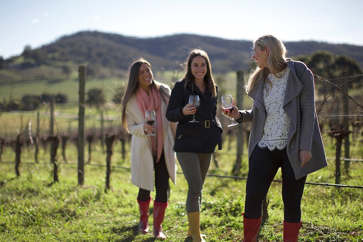 Yarra Valley Premium Tour inc Lunch and Cheese and Wine Pairing at De Bortoli - Image 3