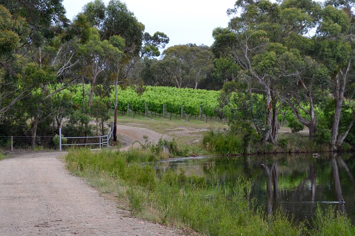 Yarra Valley Private Car Winery Tour And Chocolate.1-7 Passengers One Car Price  - Image 3