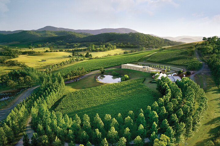 Yarra Valley Wineries Private Day Tour - Image 4