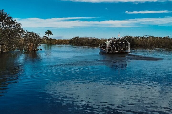 60 min. Airboat Everglades Tour plus pick up in a small group with an experienced tour guide - Image 4