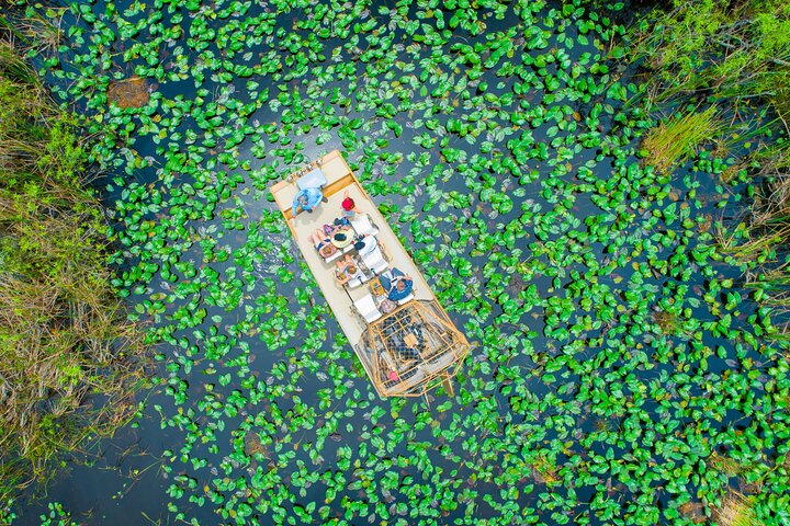 60 min. Airboat Everglades Tour plus pick up in a small group with an experienced tour guide - Image 1