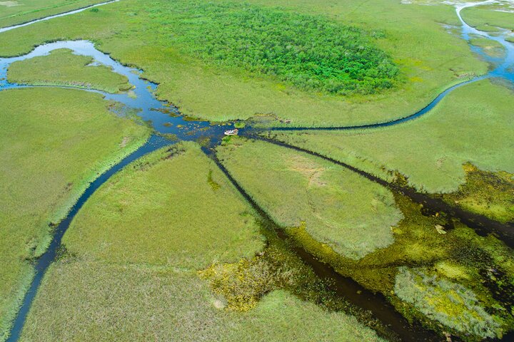 60 min. Airboat Everglades Tour plus pick up in a small group with an experienced tour guide - Image 3