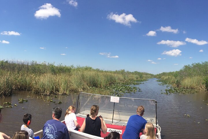 Afternoon Everglades Airboat and Wildlife Exhibit - Image 1