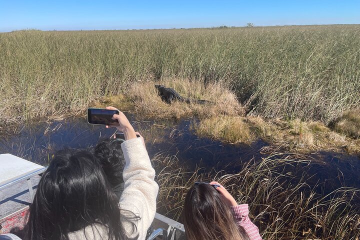 Afternoon Everglades Airboat and Wildlife Exhibit - Image 5