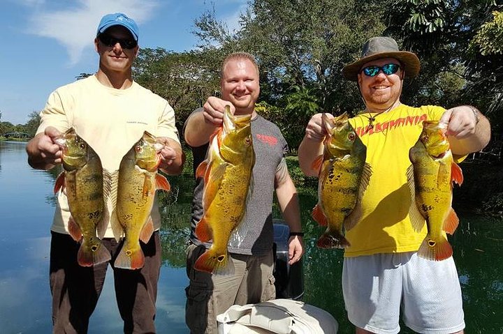 All Day Miami Peacock Bass Fishing Trip - Image 3