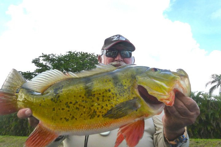 All Day Miami Peacock Bass Fishing Trip - Image 4
