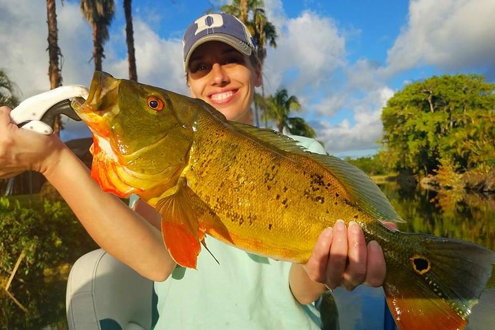 All Day Miami Peacock Bass Fishing Trip - Image 5