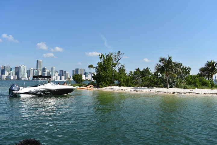 Boat Charter in Miami & Key Biscayne - Image 5