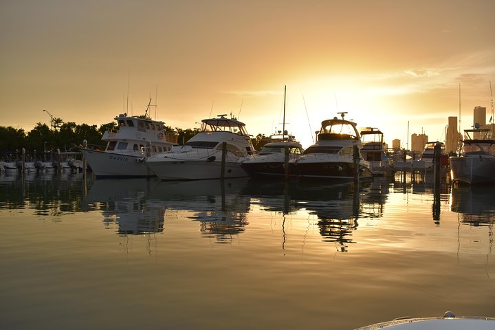 Boat Charter in Miami & Key Biscayne - Image 4