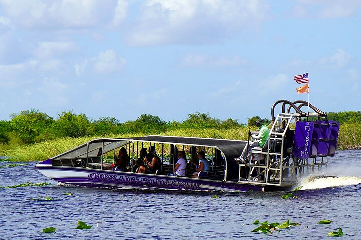 Do the Everglades Excursion from Miami - Image 4