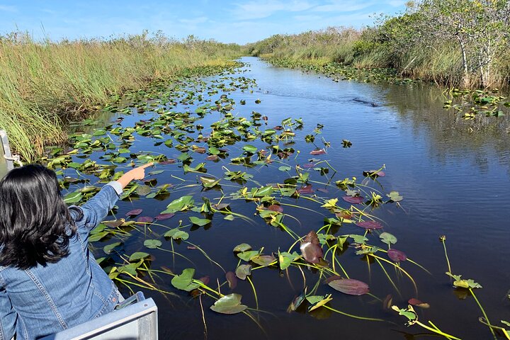 Everglades Airboat Experience  - Image 4
