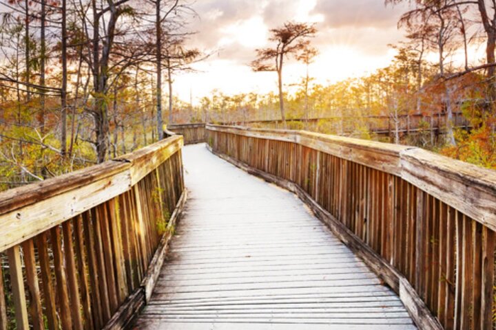 Everglades Immersion Tour: The Ultimate Everglades Adventure - Image 1