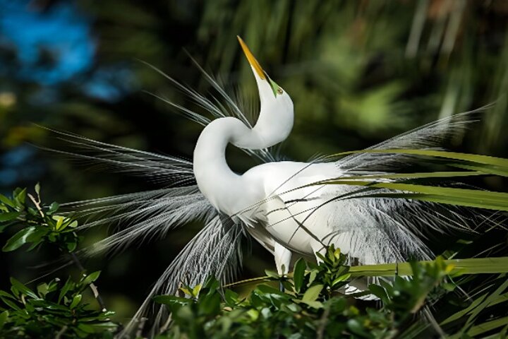 Everglades Immersion Tour: The Ultimate Everglades Adventure - Image 2