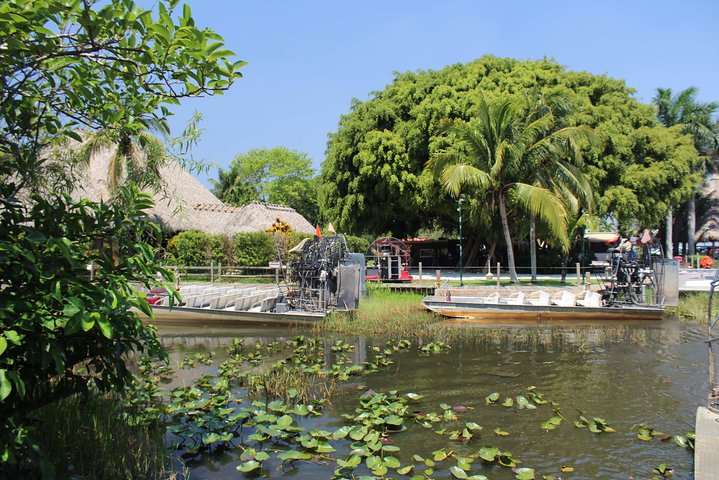 Everglades & Miami city tour with experienced guide in small group - Image 2