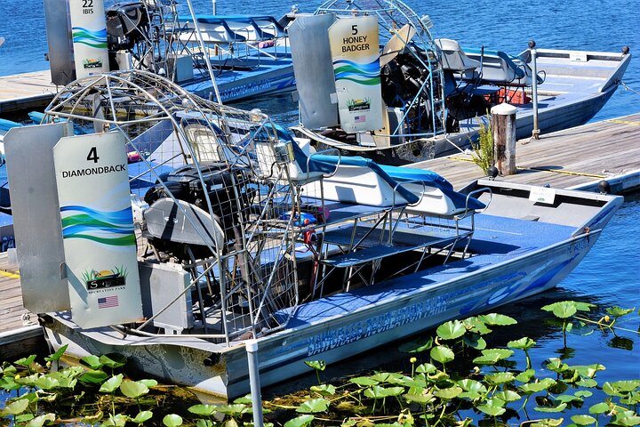 Everglades National Park & Airboat tour with Roundtrip Transfer - Image 2