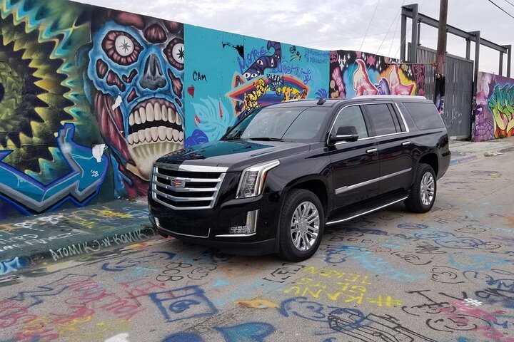 Explore in the Vibrant Art Scene of Wynwood Art Private Tour - Image 4