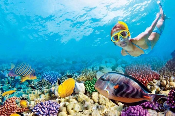 Full-Day Key West Tour and Coral Reef Snorkeling with Open Bar - Image 1