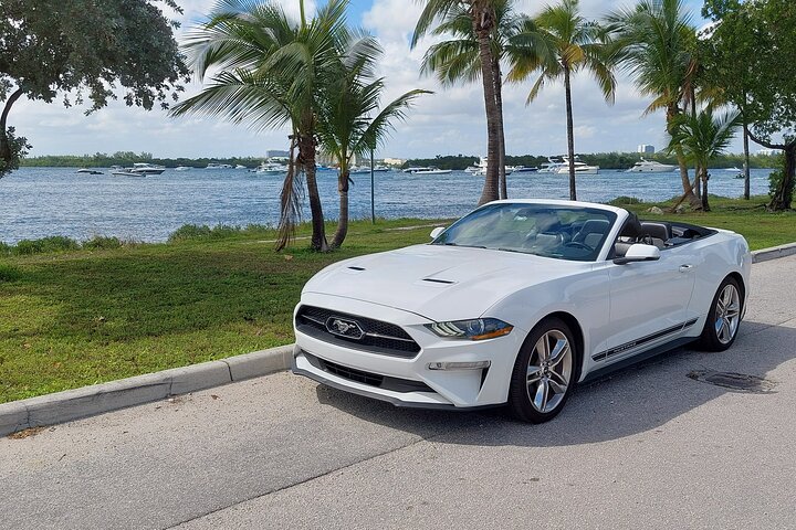 Half-Day Miami Tour by Convertible Mustang - Image 1