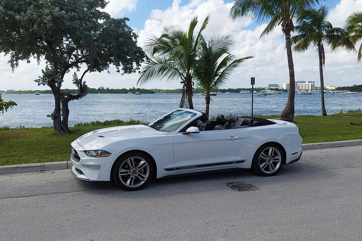 Half-Day Miami Tour by Convertible Mustang - Image 2