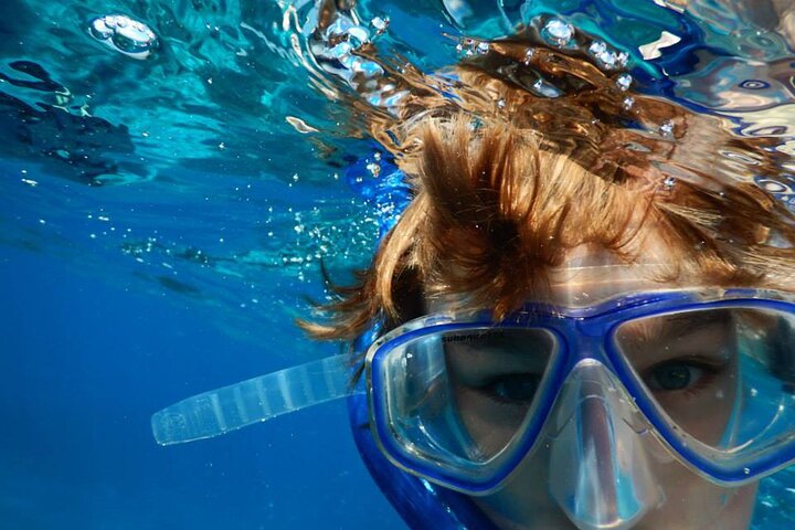 Key West Snorkeling Adventure from Miami - Image 4