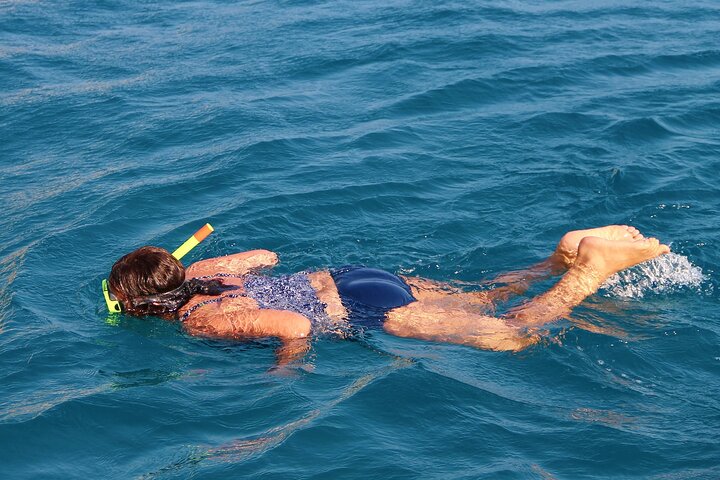 Key West Snorkeling Adventure from Miami - Image 5