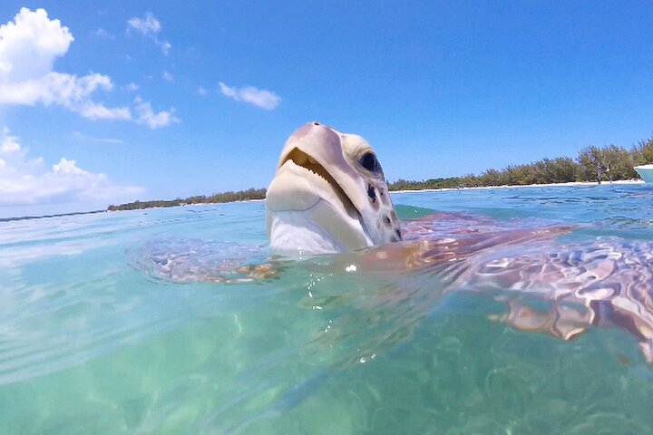 Miami Exclusive Island Yacht Charter Boat Rental Tours Private  - Image 5