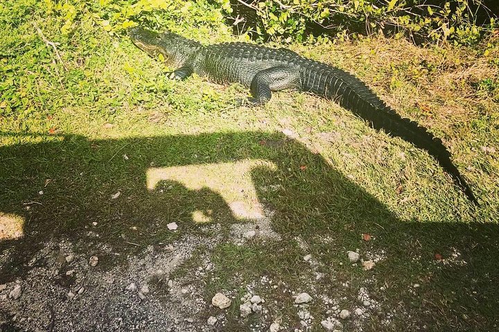 Miami & Florida Everglades Adventure Package - Image 1