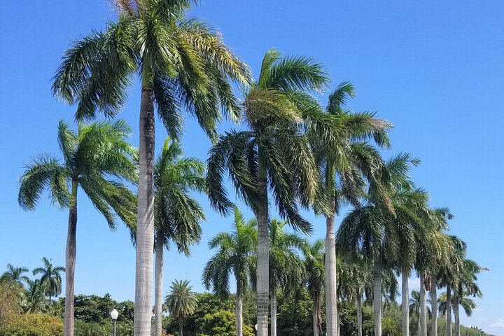 Palm Beach Tour from Miami - Flagler's Museum + Hotel Breakers - Image 4