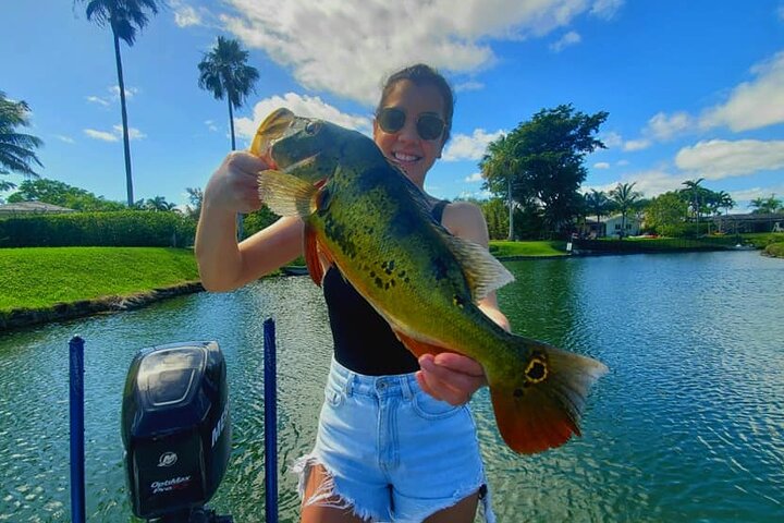 Peacock Bass Fishing Trip near Biscayne Bay - Image 2