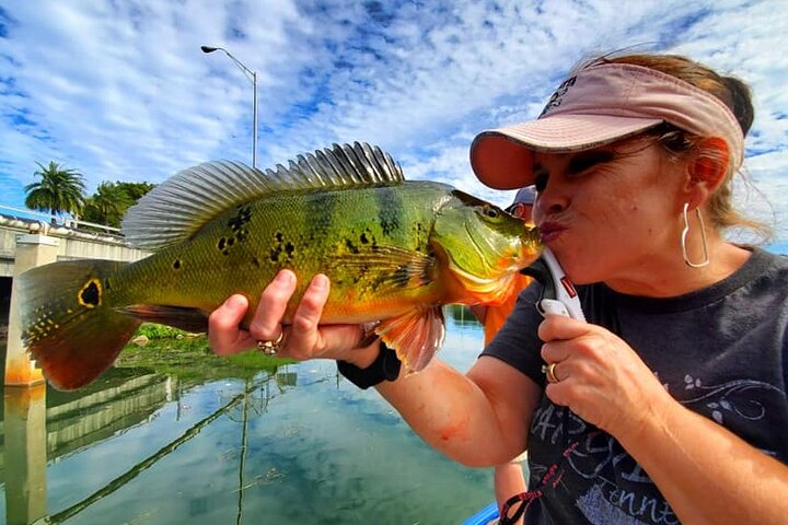 Peacock Bass Fishing Trip near Biscayne Bay - Image 4