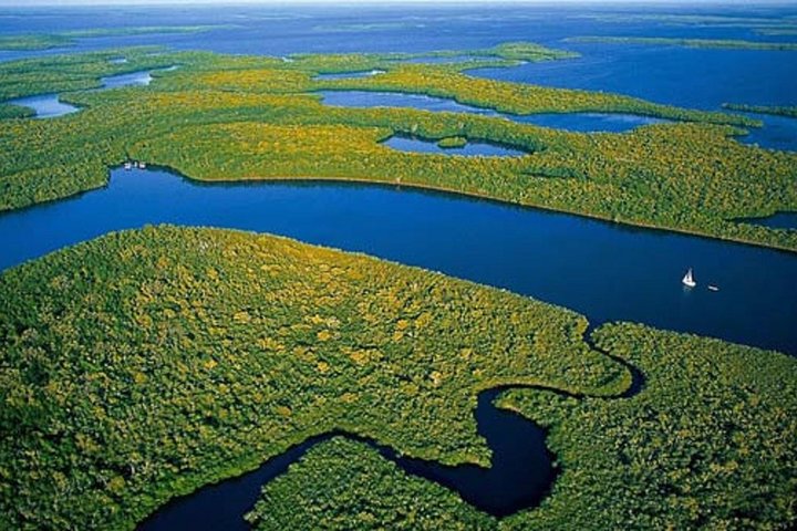 Private 4-Hour Exciting Everglades Tour - Image 1
