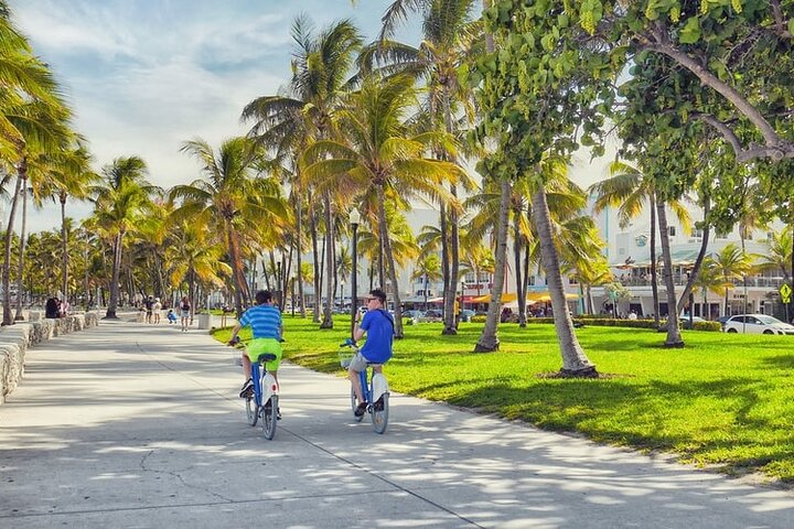 Private 4-hours City Tour of Miami with private driver/guide - Image 5