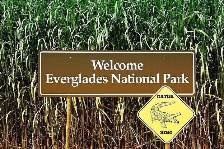  Private Everglades Tour: Explore the Beauty of the Everglades - Image 2