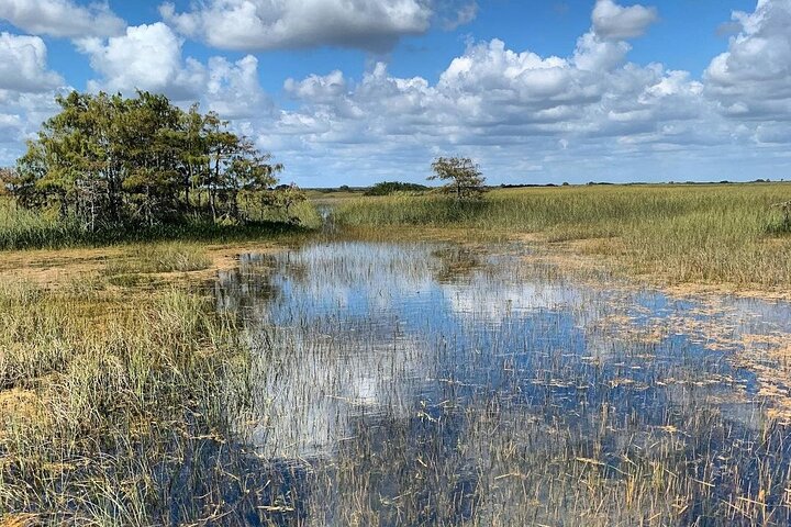  Private Everglades Tour: Explore the Beauty of the Everglades - Image 3