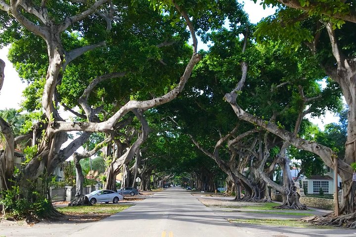 Private Miami City Tour by Van with Optional Biscayne Bay Cruise - Image 3