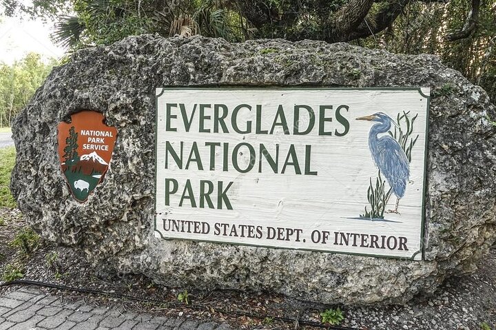 Private Tour of Everglades National Park - Image 2