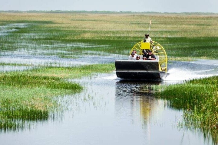 Private Tour of Everglades National Park - Image 4