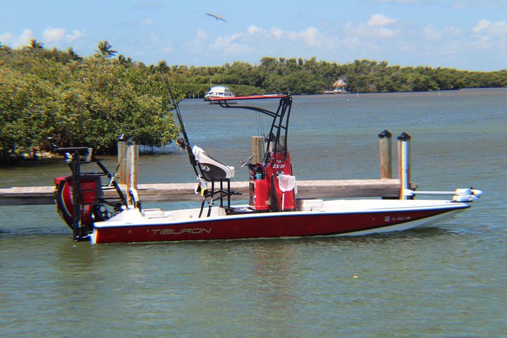 Small-group private Key West tour with expert guide - Image 4