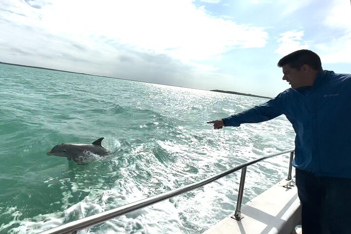Up to 32Pax Glass Bottom Yacht Rental, Unforgettable Celebrations - Image 3