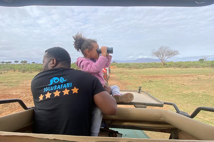 1 Day Tsavo East Safari - Image 3