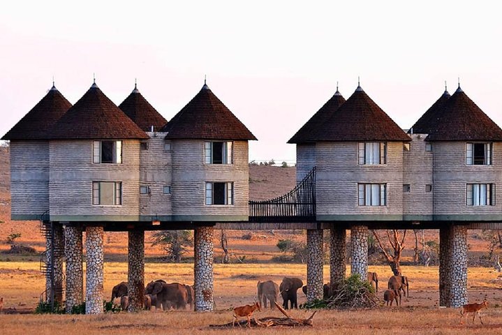 2 Days (1 night); Tsavo East & Saltlick Safari:  - Image 1