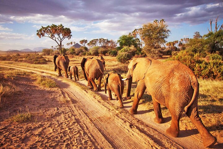 2 Days and 1 Night Private Tour in Tsavo East Safari - Image 1