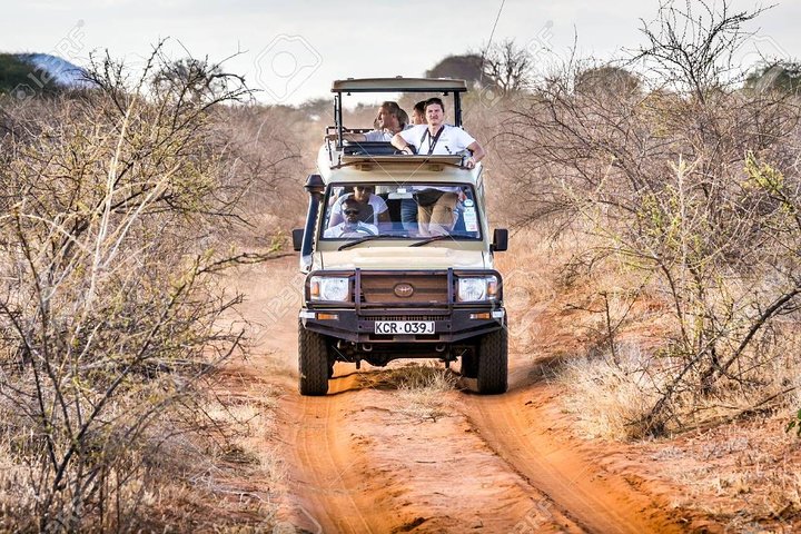 2 Days Tsavo east Jeep Safari (minimum 2 persons) - Image 1