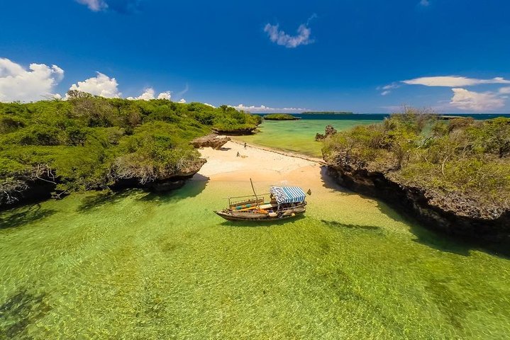 2 Days Wasini Dolphin Tour (minimum 2 persons) - Image 2