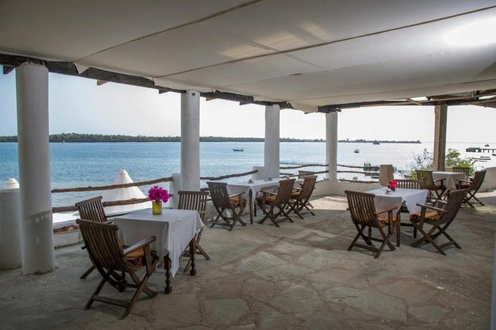 2 Days Wasini Dolphin Tour (minimum 2 persons) - Image 5