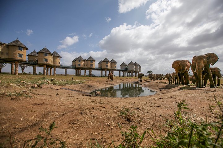 3-Day Mombasa to Taita Hills Tour - Image 1
