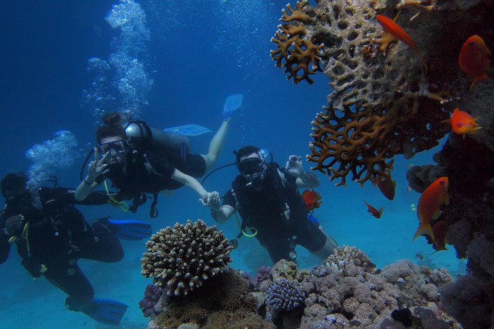 3 Day Mombasa Tour - City Tour, Watamu & Diani - Image 1