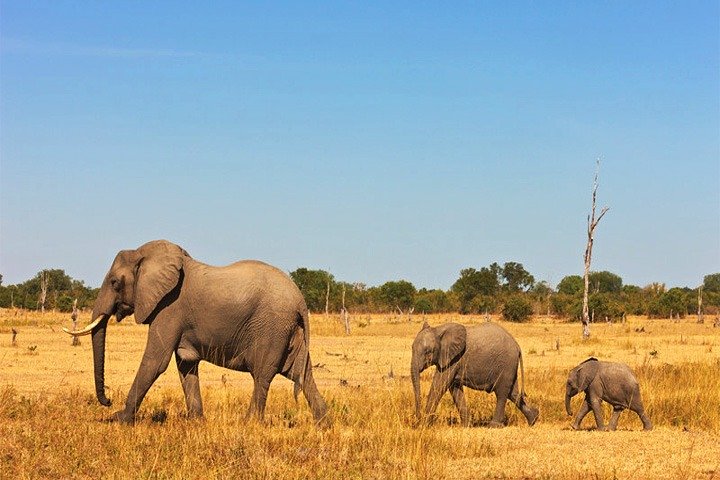 3 Days, 2 Nights Safari - Amboseli National Park and Tsavo West Adventure Safari - Image 1