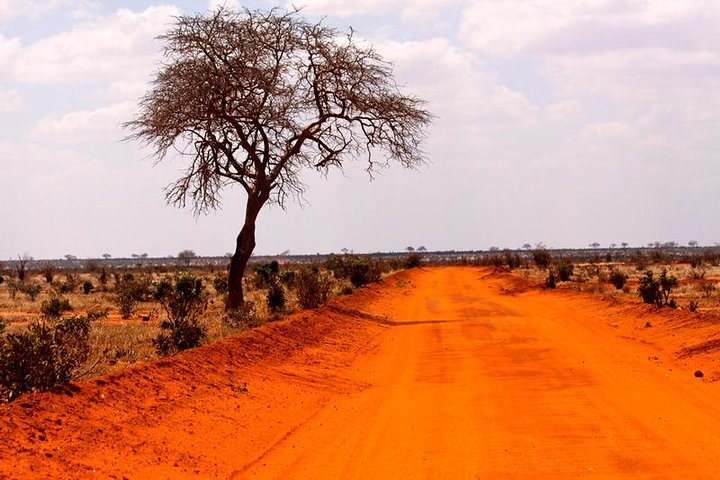 3 Days (2 nights); Tsavo East & West Safari: - Image 4